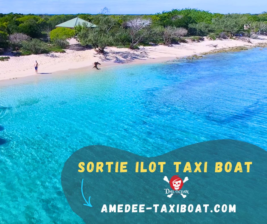 TAXI BOAT - excursion Ilot Amédée - Signal - Laregnère - Maitre